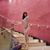 Sharla Fernandez's profile image