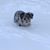 Whitney Acrey-Davis's profile image