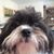 Pamela Clark's profile image
