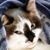 Rick Dean's profile image