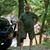 Troy Scalf's profile image