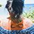 Leilani Rasmussen's profile image