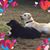 Lisa Tyma's profile image