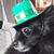 Louise Charron's profile image