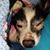 Rikki Lyn Grady Smith's profile image
