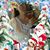 Jennifer Welchman's profile image