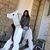 Luz Mendez's profile image
