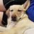 Jennifer Brenneman's profile image