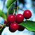Cinda Kinney Simmons's profile image