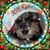 Diana Wright's profile image