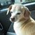 Yung Binion Ouyang's profile image