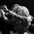 Lois Brandow's profile image