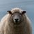 Erin Parcher Wartes's profile image