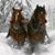 Holly Halbrook Rueden's profile image