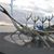 Tracy Gingras's profile image