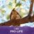 Sharon Ellison Brooks's profile image