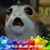 Margaret Morris's profile image