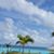 Jennifer Macchia's profile image