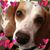 Mattie L Williams's profile image
