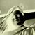 Frank James Mazza's profile image