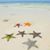 Beverlee Flowers's profile image