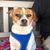 Christine Derabertis Lopez's profile image
