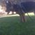 Hilde Venegas's profile image