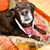 Mickey Mericle's profile image