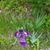 Michelle Beaudin-Saatoff's profile image
