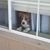 Connie Galbreath's profile image