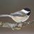 Jen Houser's profile image