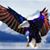 Steve Fournier's profile image