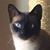 Helen Miller's profile image