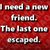 Tina Knapp's profile image