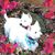 Margie Mudri's profile image