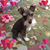 Krista K Records's profile image