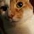 Beth Fritzinger Jones's profile image