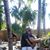 Zory Ramos's profile image