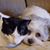 Joanie Davis Gerhardt's profile image
