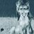 Darrel Plants's profile image