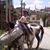 Coquito Arechiga's profile image