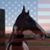 Michael Bryant's profile image