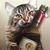 Veronica Vick Thomas's profile image