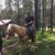 Raf Bracho's profile image