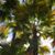 Robin Perechocky Hendler's profile image
