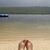 Marisol Reyes's profile image
