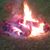 Kim Berly's profile image