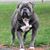 Chuck Spencer's profile image