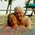 Cathy Ravenelle Caron's profile image