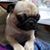 Piete Ferguson's profile image